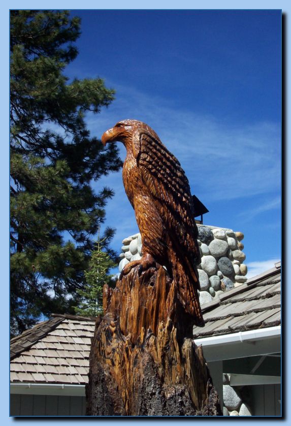 2-22 eagle  perched, half-spread wings-archive-0002